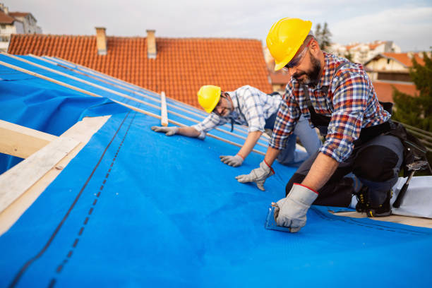 Roof Coating Services in Gruetli Laager, TN